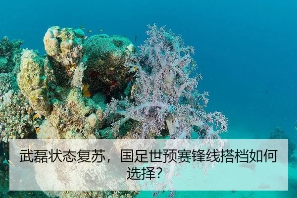 武磊状态复苏，国足世预赛锋线搭档如何选择？